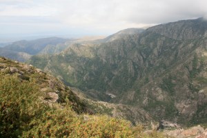 The quebrada (gorge) where condors nest and learn to fly.
